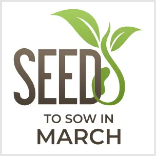 All Seed Packets